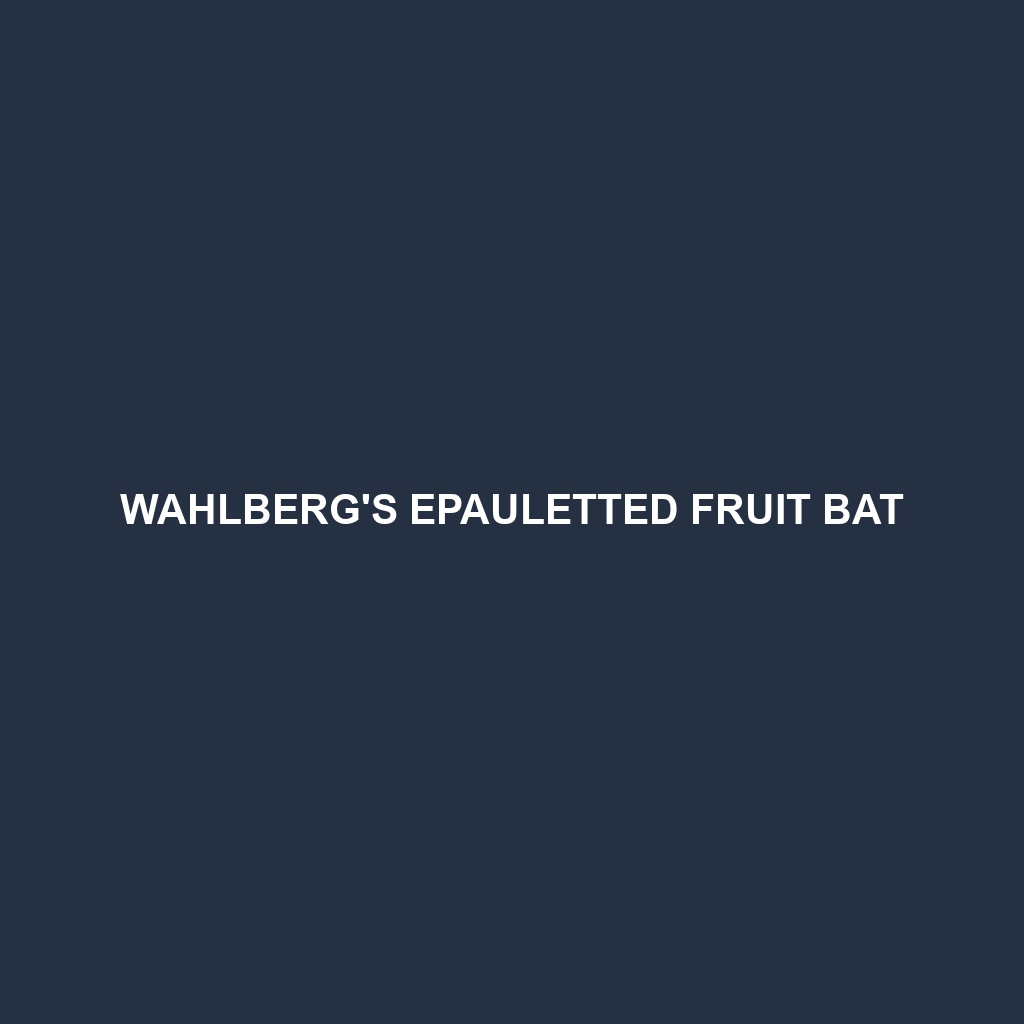 Wahlberg's Epauletted Fruit Bat