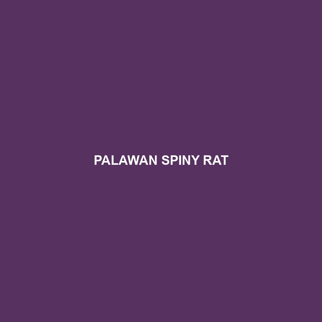 Palawan Spiny Rat