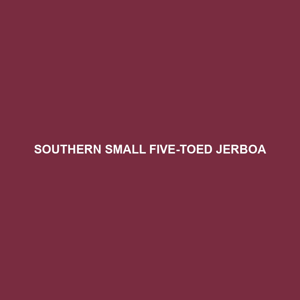 Southern Small Five-toed Jerboa