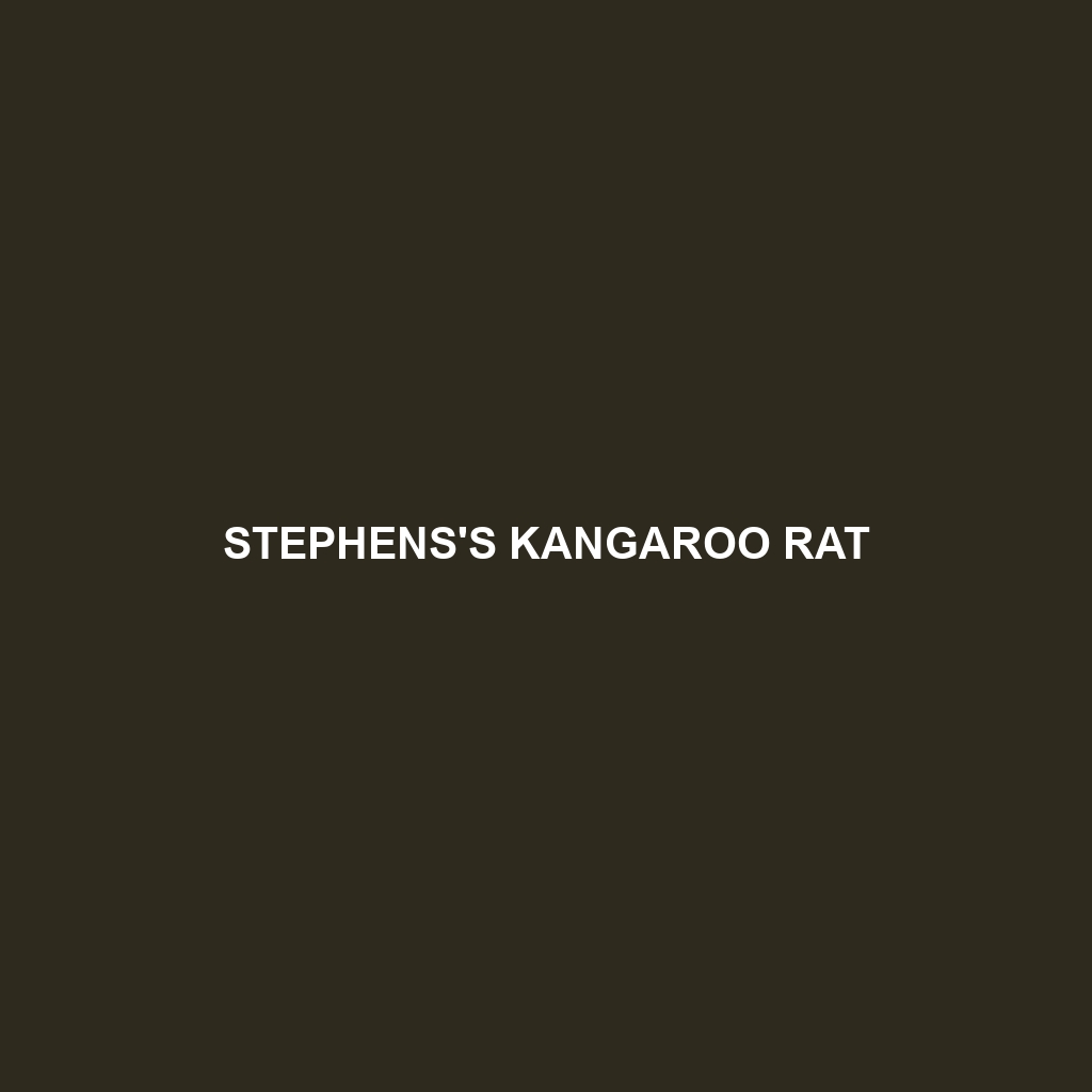 Narrow-faced Kangaroo Rat