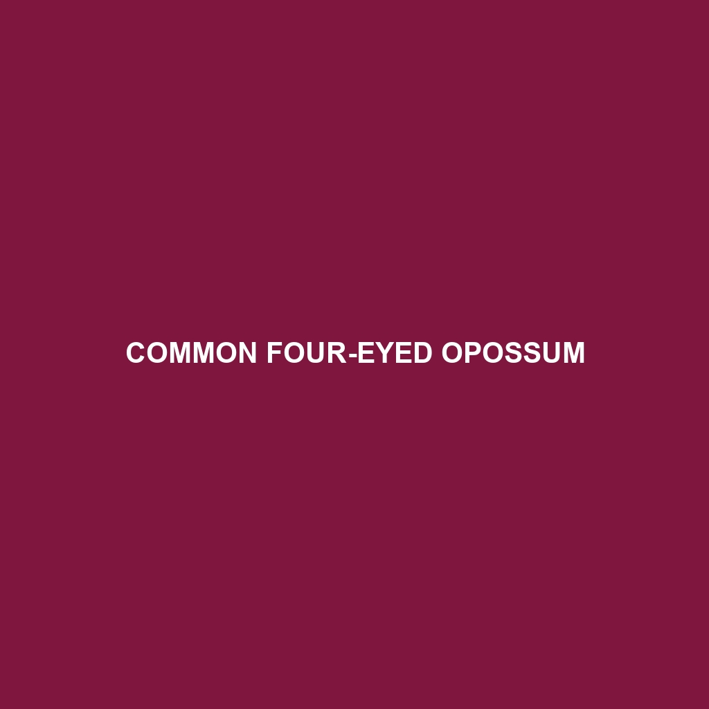 Common Four-eyed Opossum