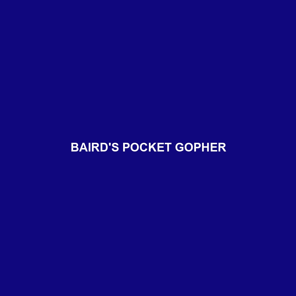 Baird's Pocket Gopher