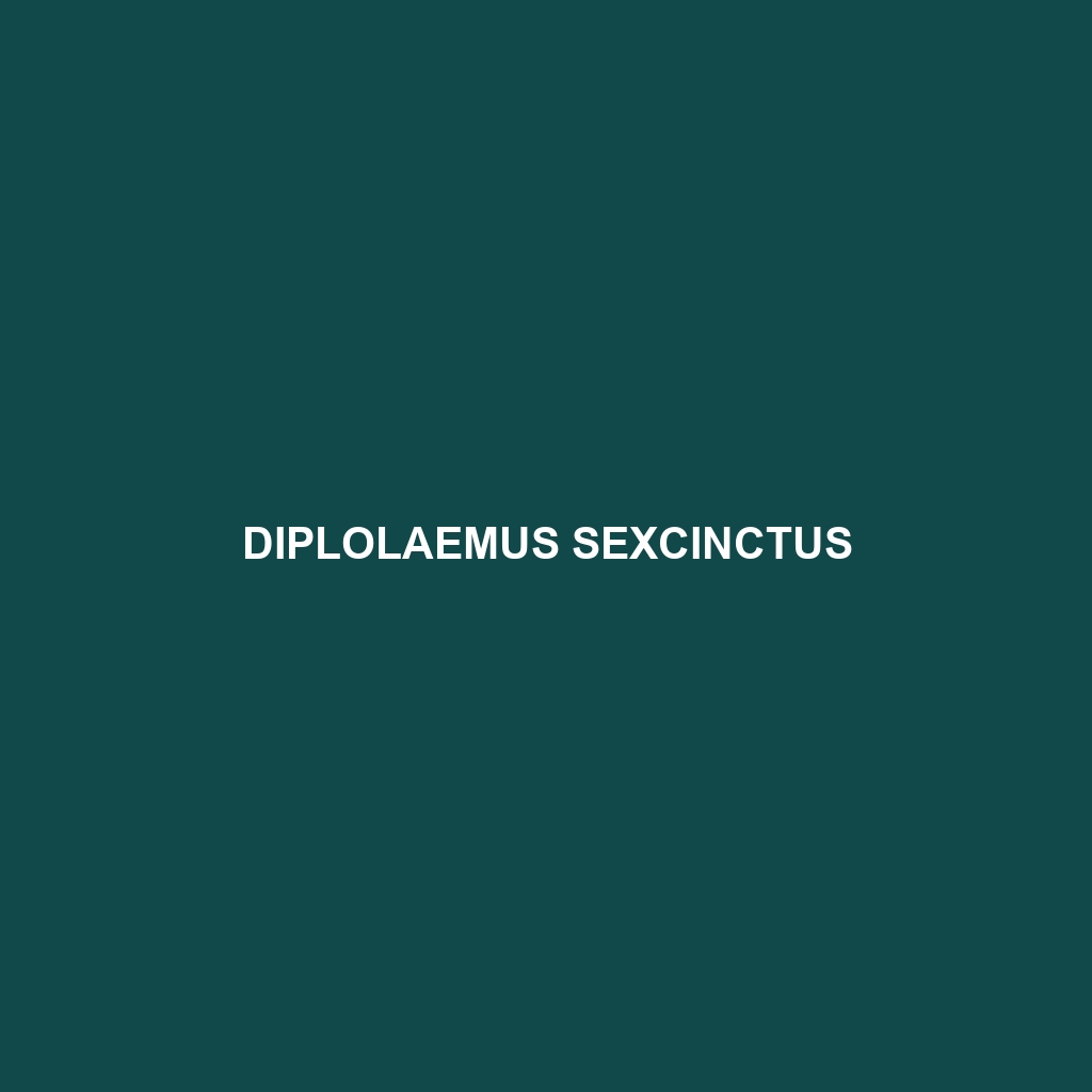 Diplolaemus sexcinctus