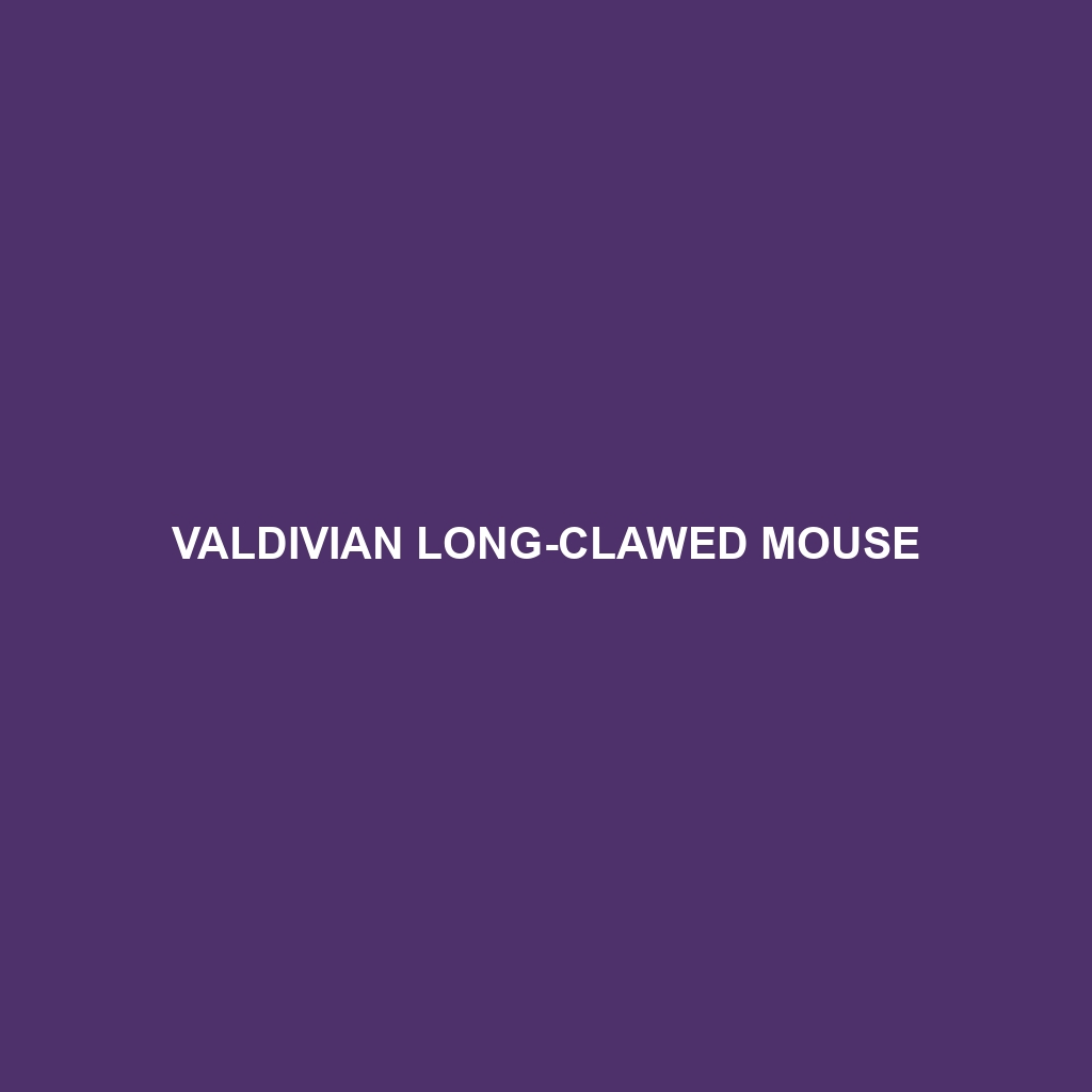 Valdivian Long-clawed Mouse