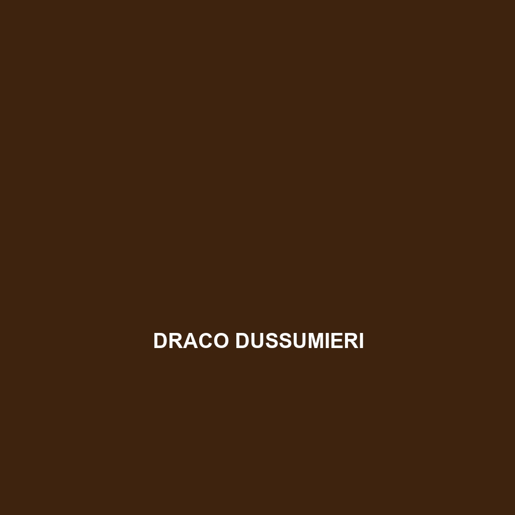 Draco dussumieri