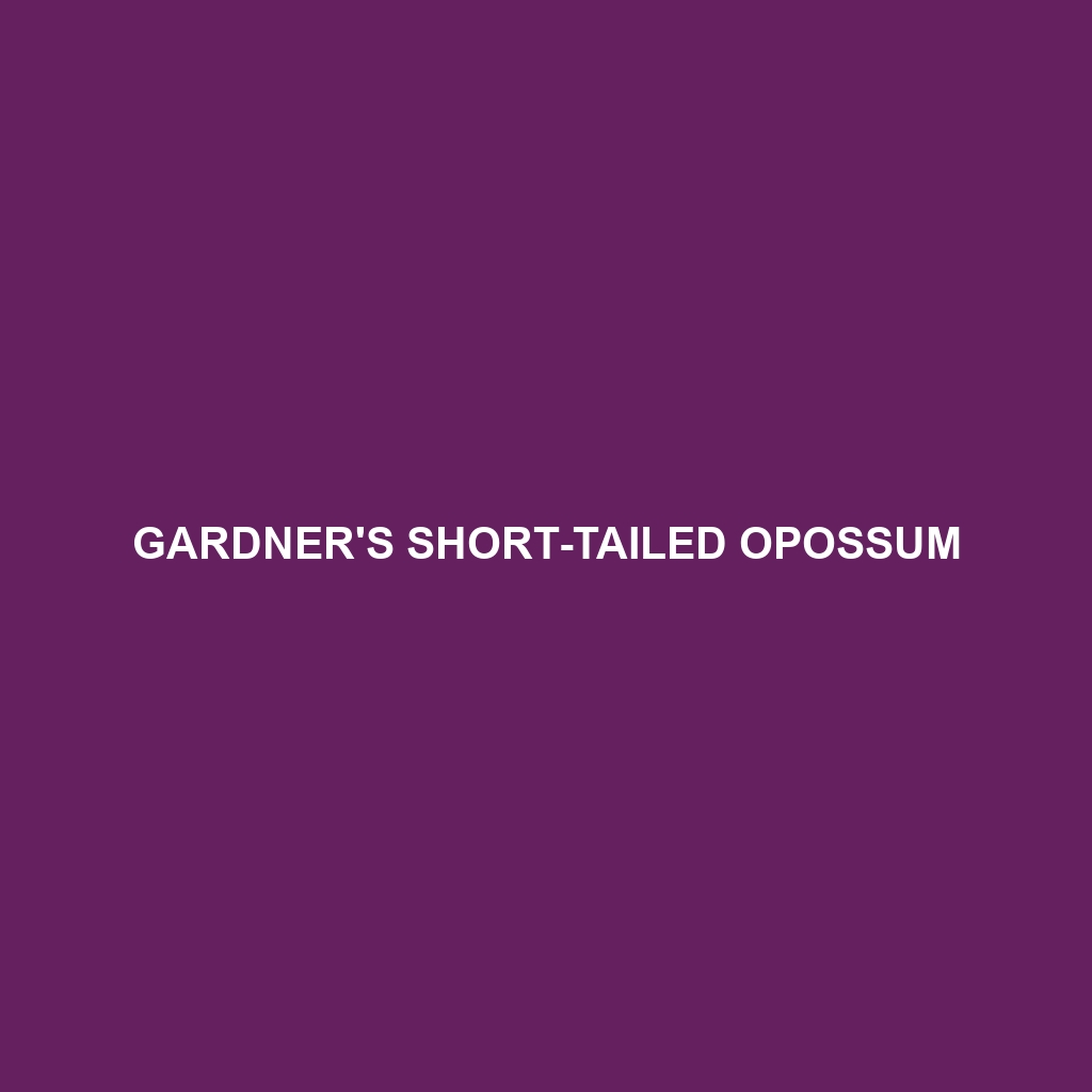 Gardner's Short-tailed Opossum