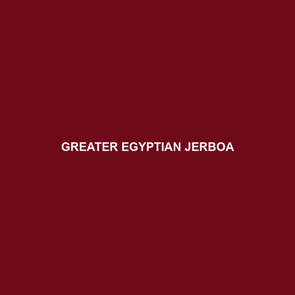 Greater Egyptian Jerboa