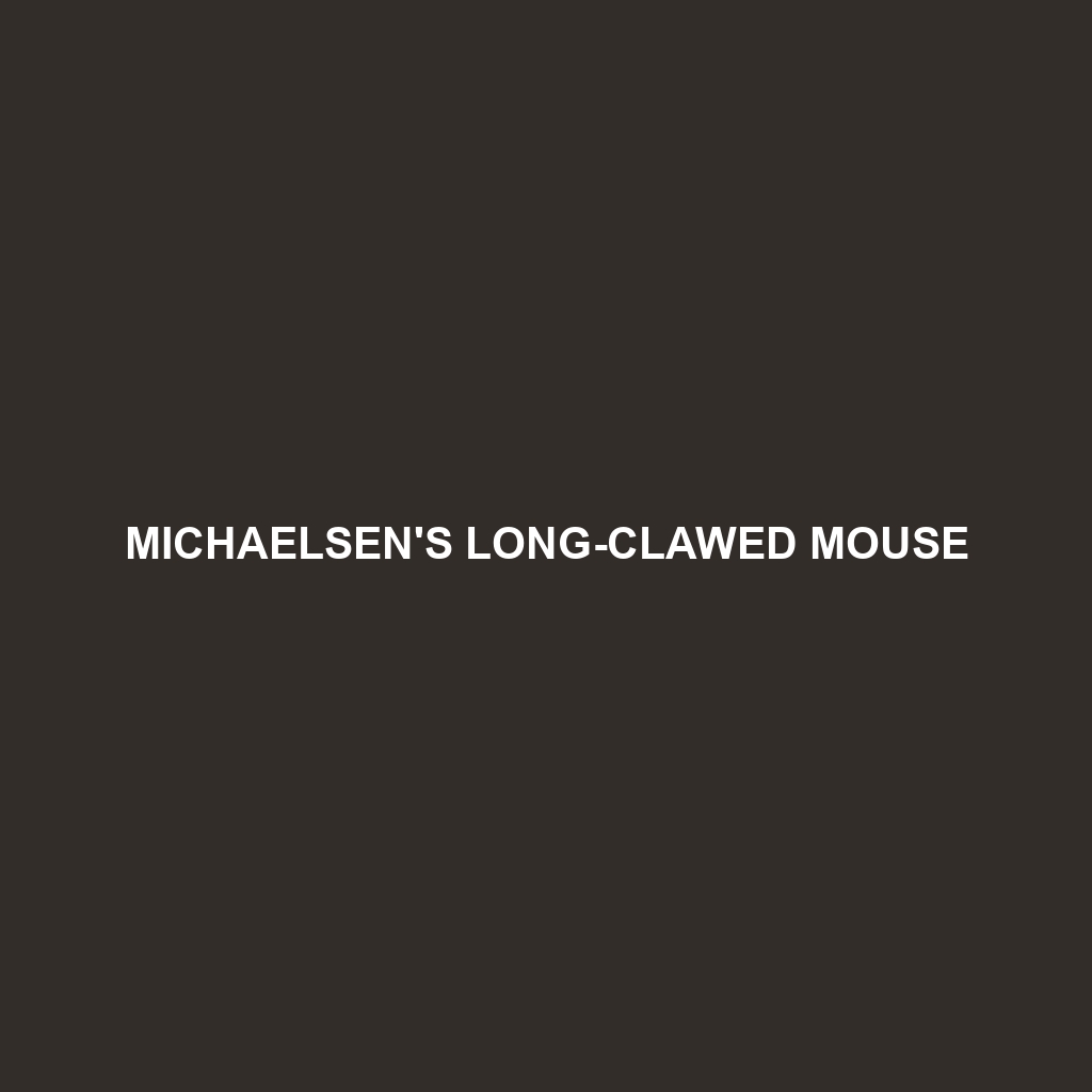 Michaelsen's Long-clawed Mouse