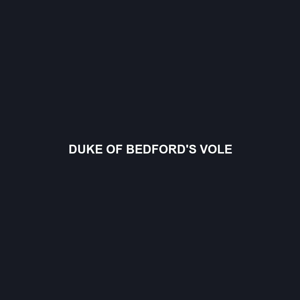 Duke of Bedford's Vole