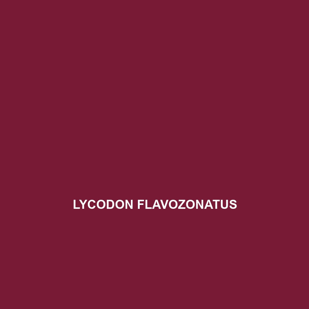 Lycodon flavozonatus