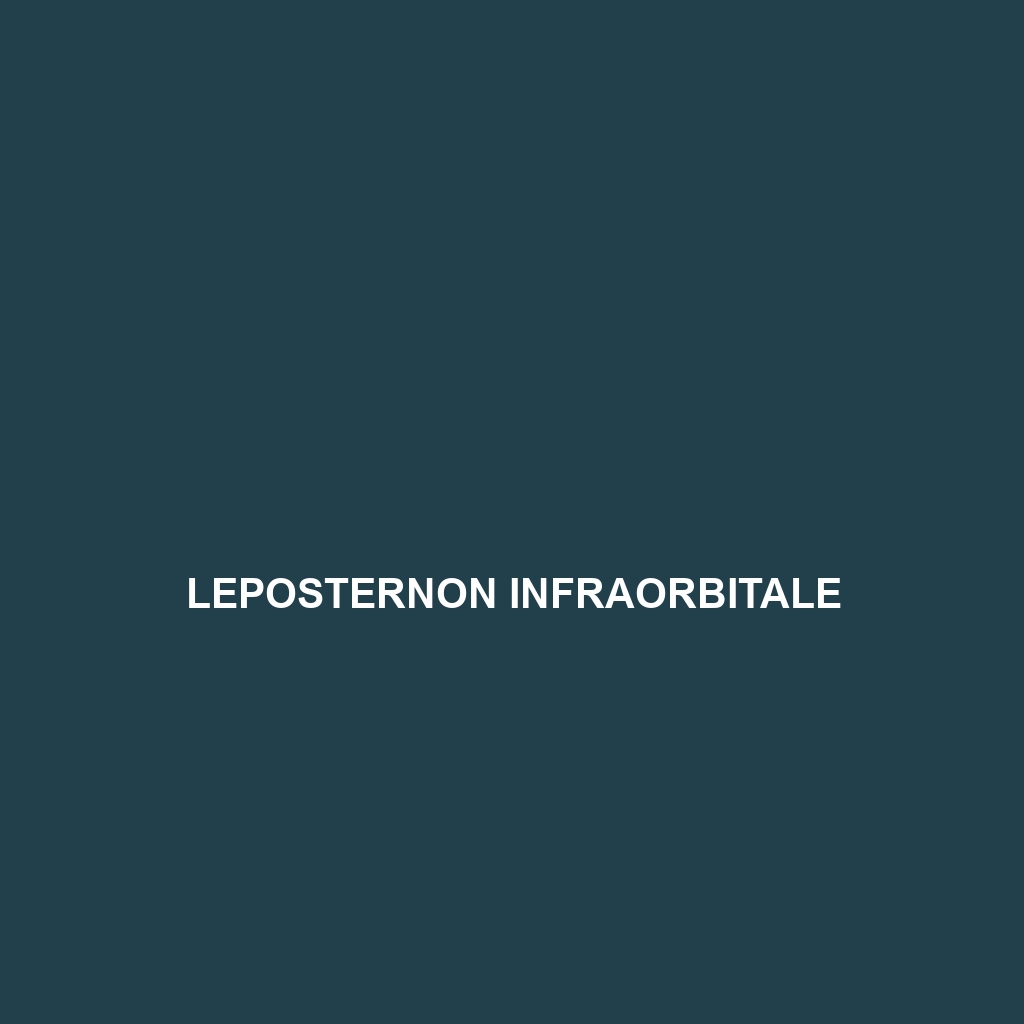 Leposternon infraorbitale