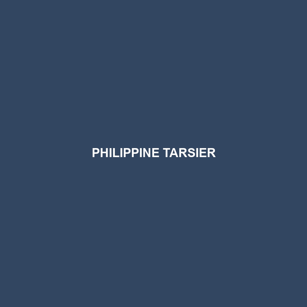 Philippine Tarsier