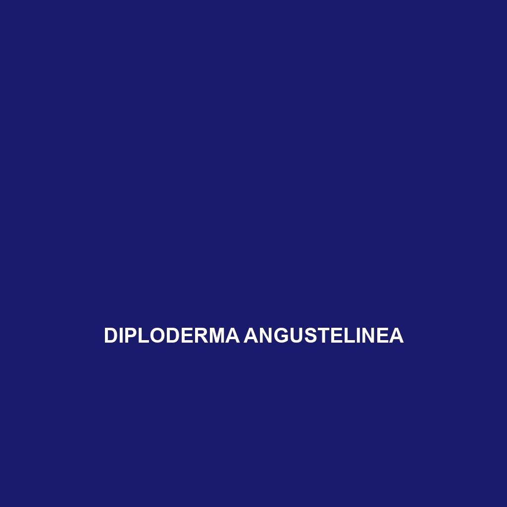 Diploderma angustelinea