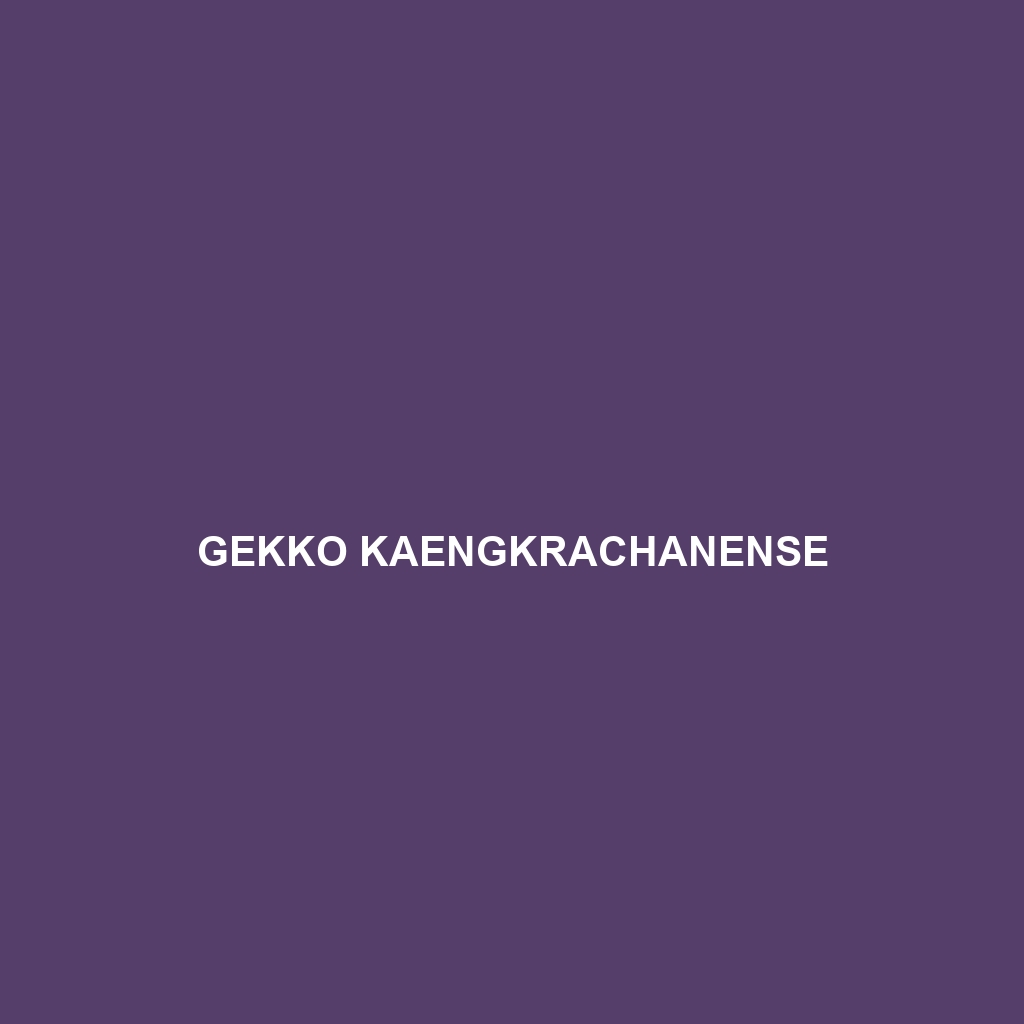 Gekko kaengkrachanense