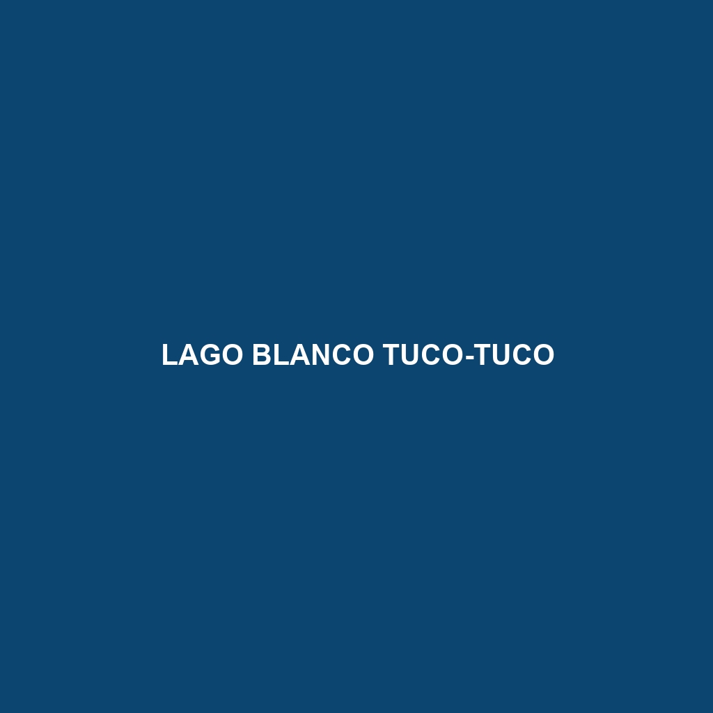 Lago Blanco Tuco-tuco