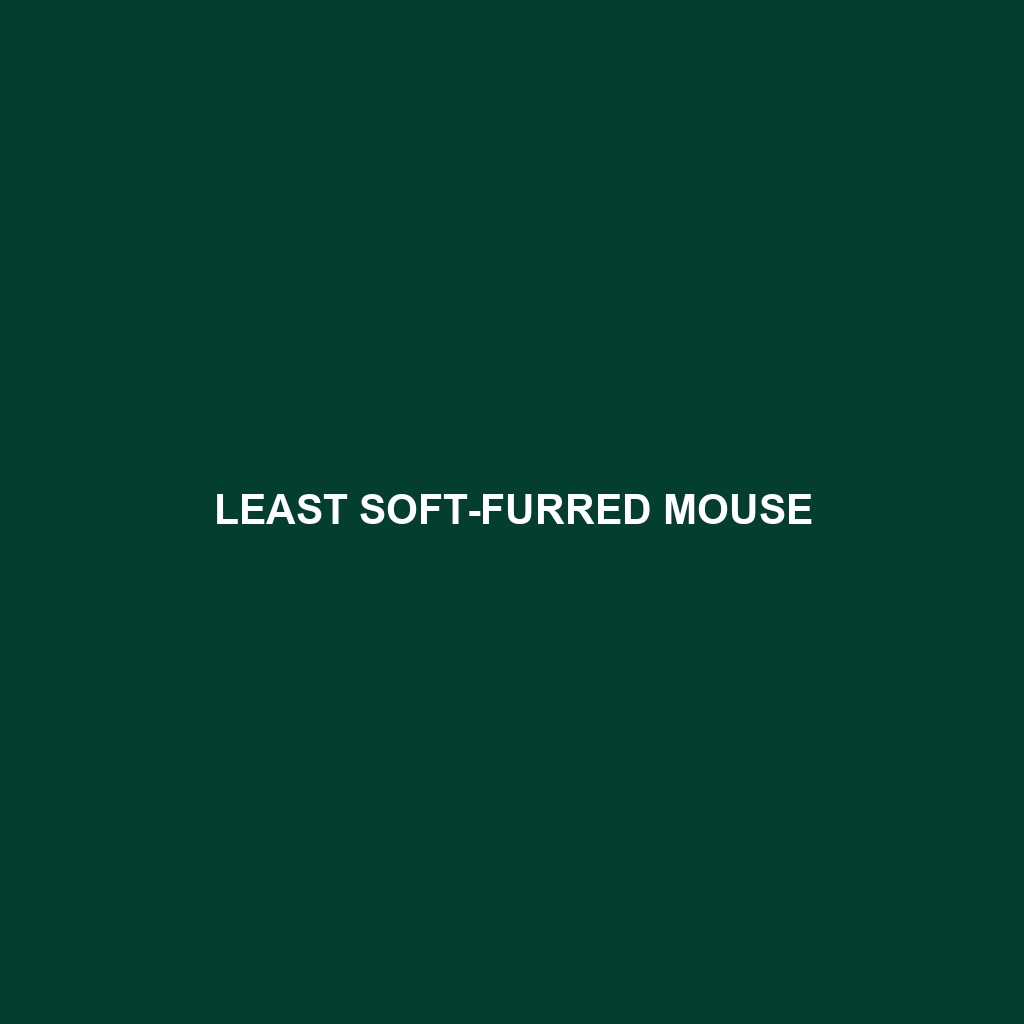 Least Soft-furred Mouse