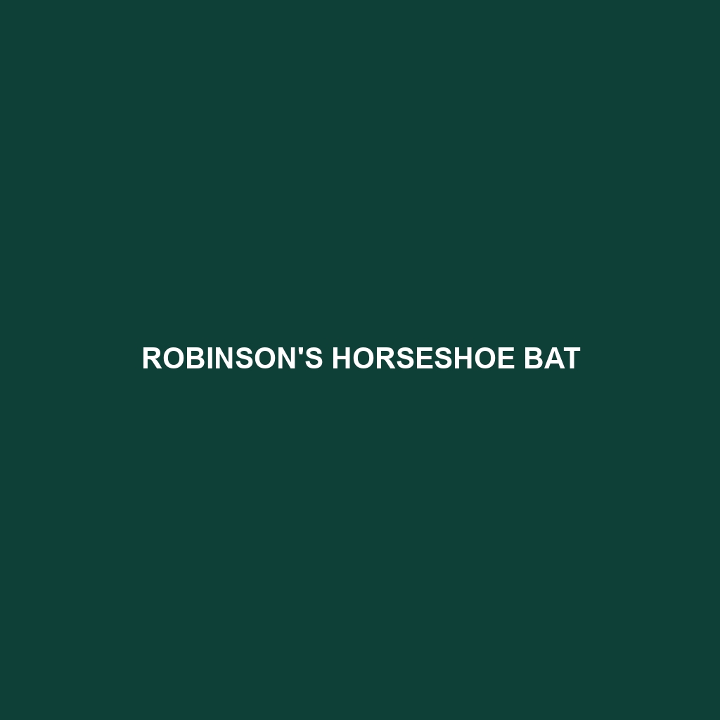 Robinson's Horseshoe Bat