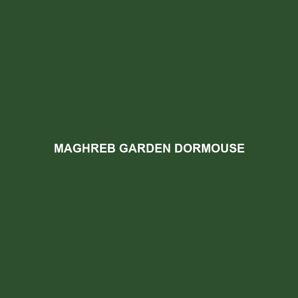 Maghreb Garden Dormouse