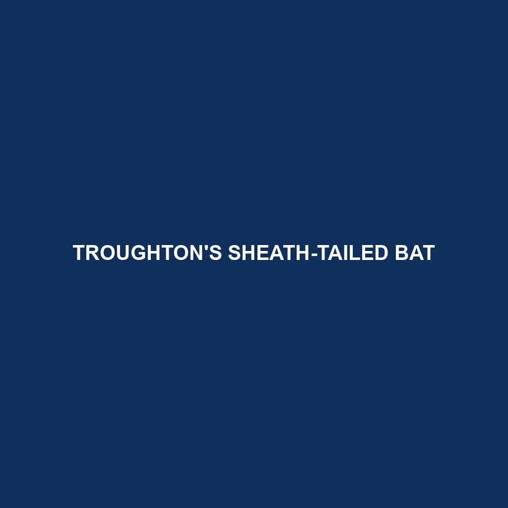 Troughton's Sheath-tailed Bat