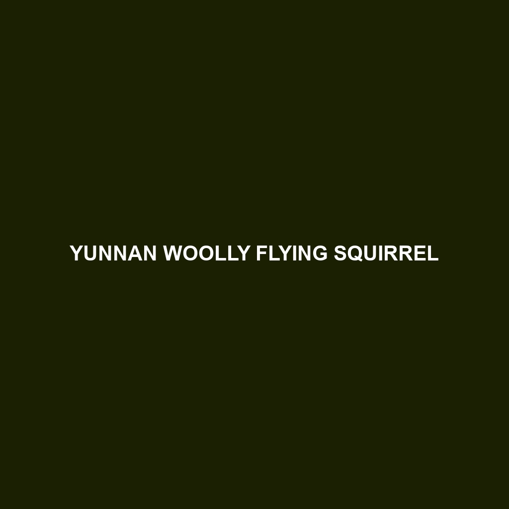 Tibetan Woolly Flying Squirrel