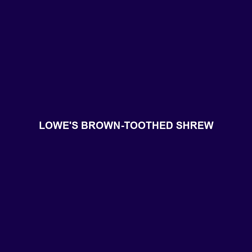 Lowe's Brown-toothed Shrew