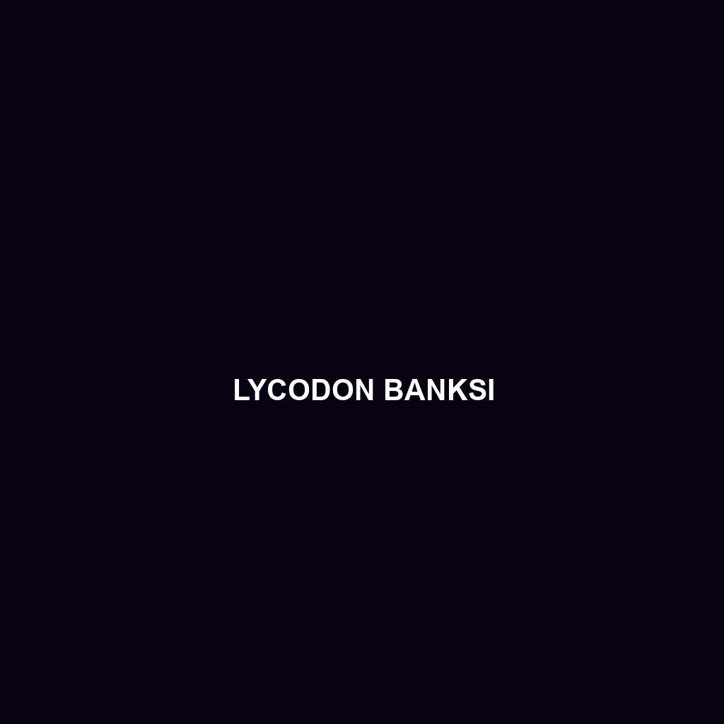 Lycodon banksi