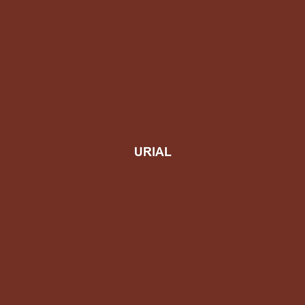 Urial