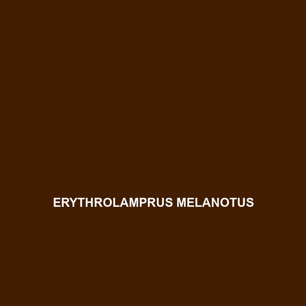 Erythrolamprus maryellenae