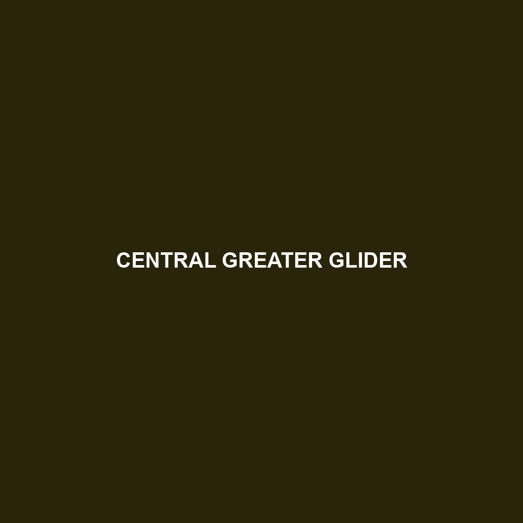 Northern Greater Glider