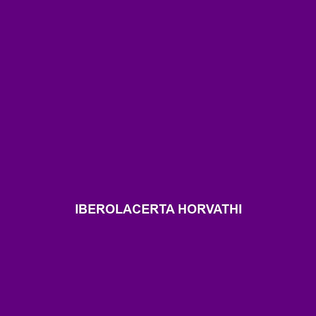 Iberolacerta horvathi