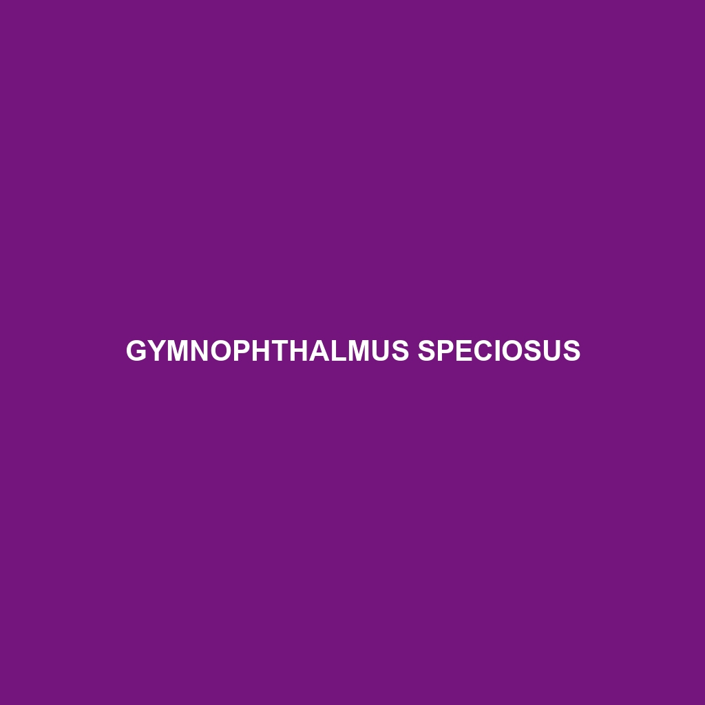 Gymnophthalmus speciosus