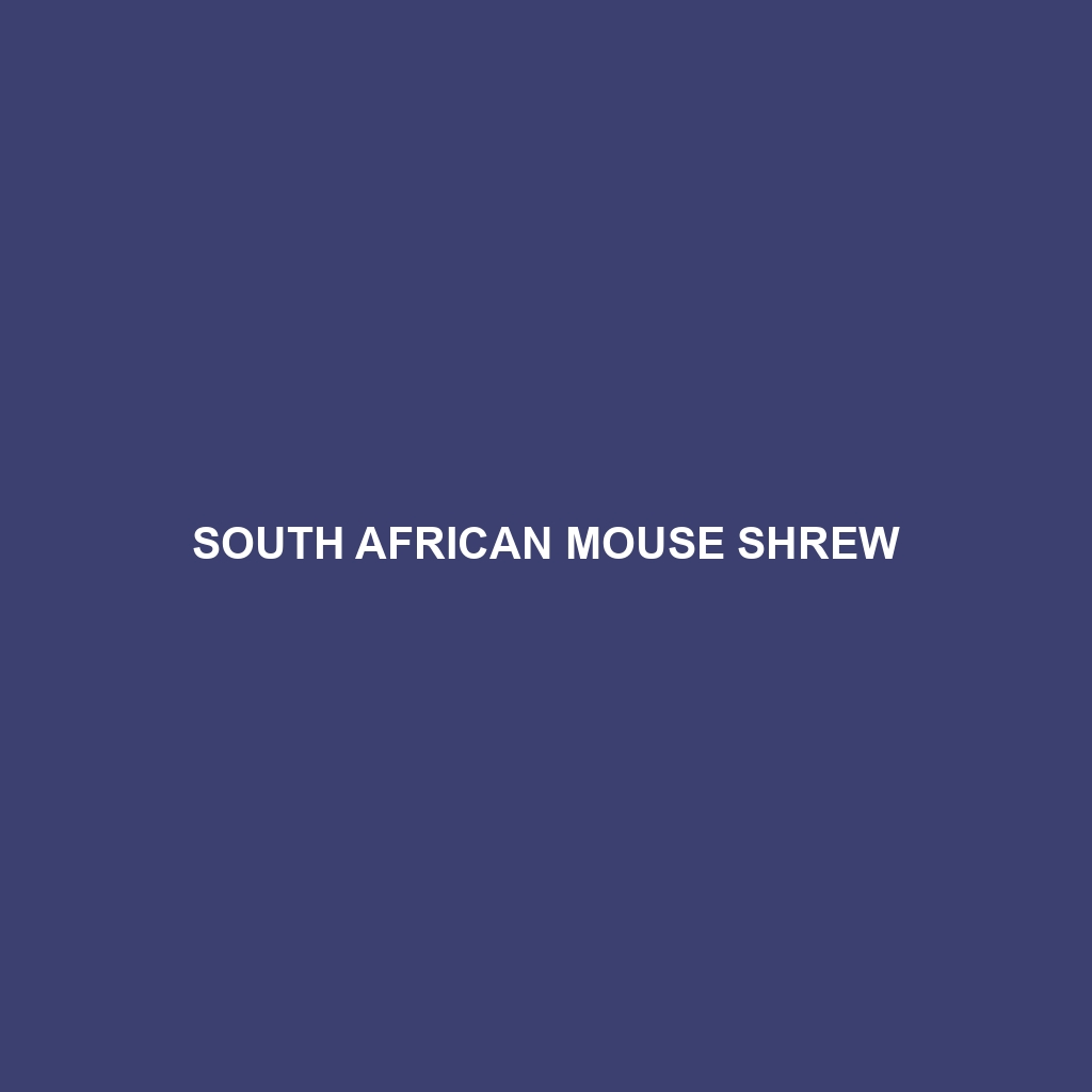 South African Mouse Shrew