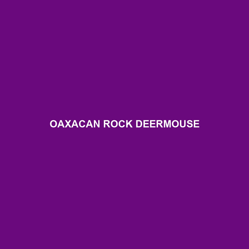 Oaxacan Rock Deermouse