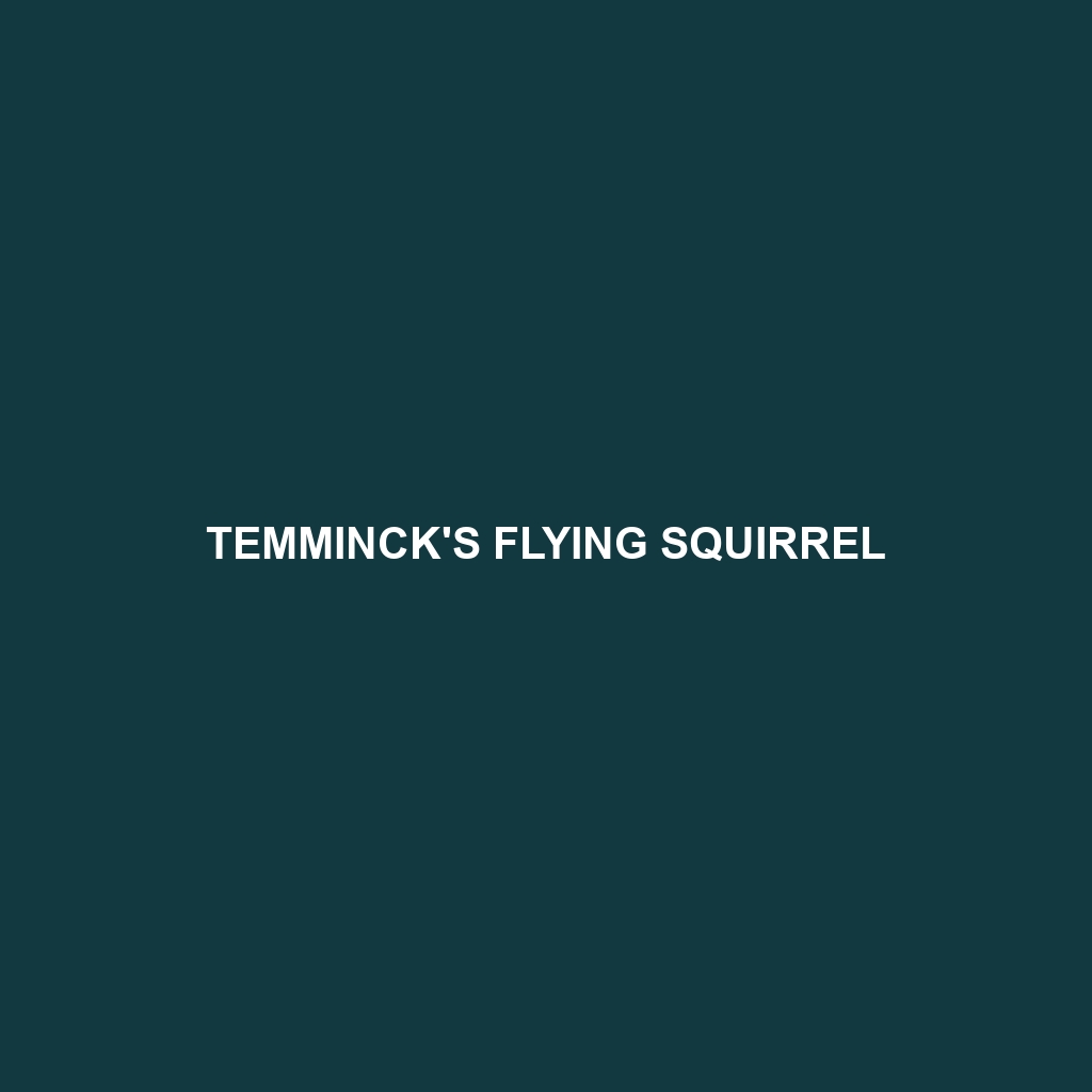 Temminck's Flying Squirrel