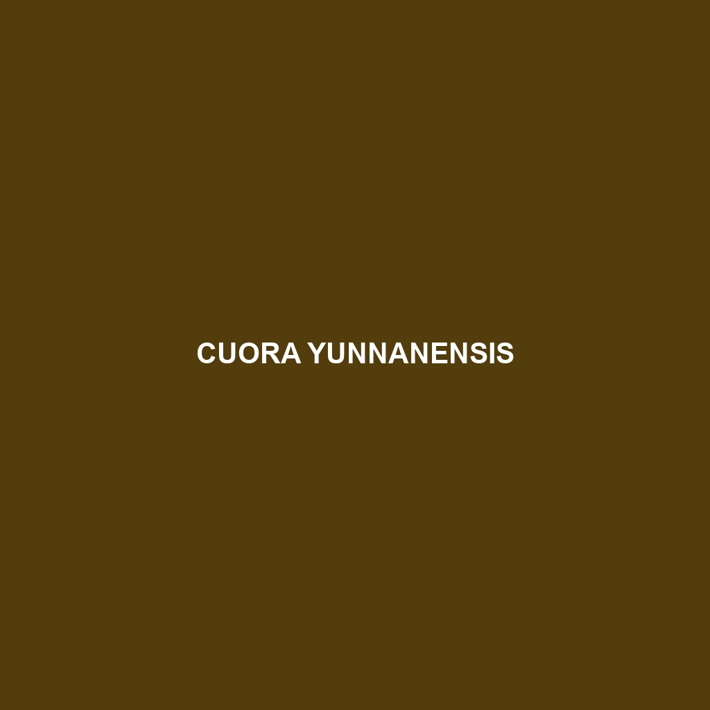 Cuora yunnanensis