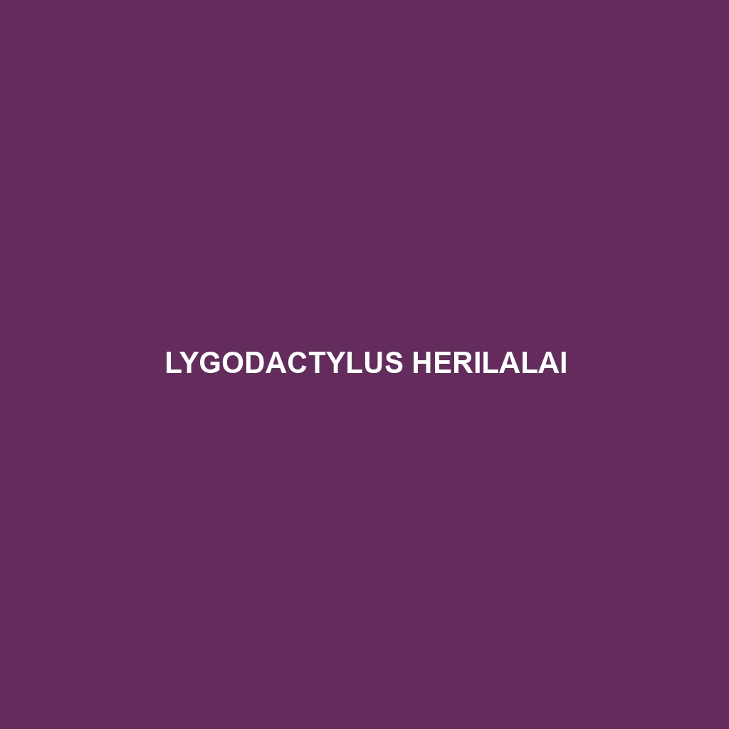 Lygodactylus herilalai