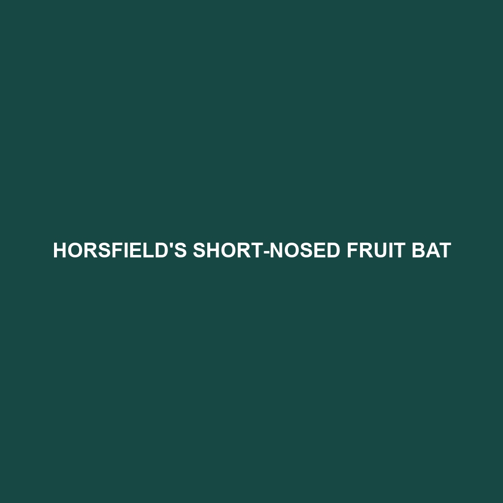 Horsfield's Short-nosed Fruit Bat