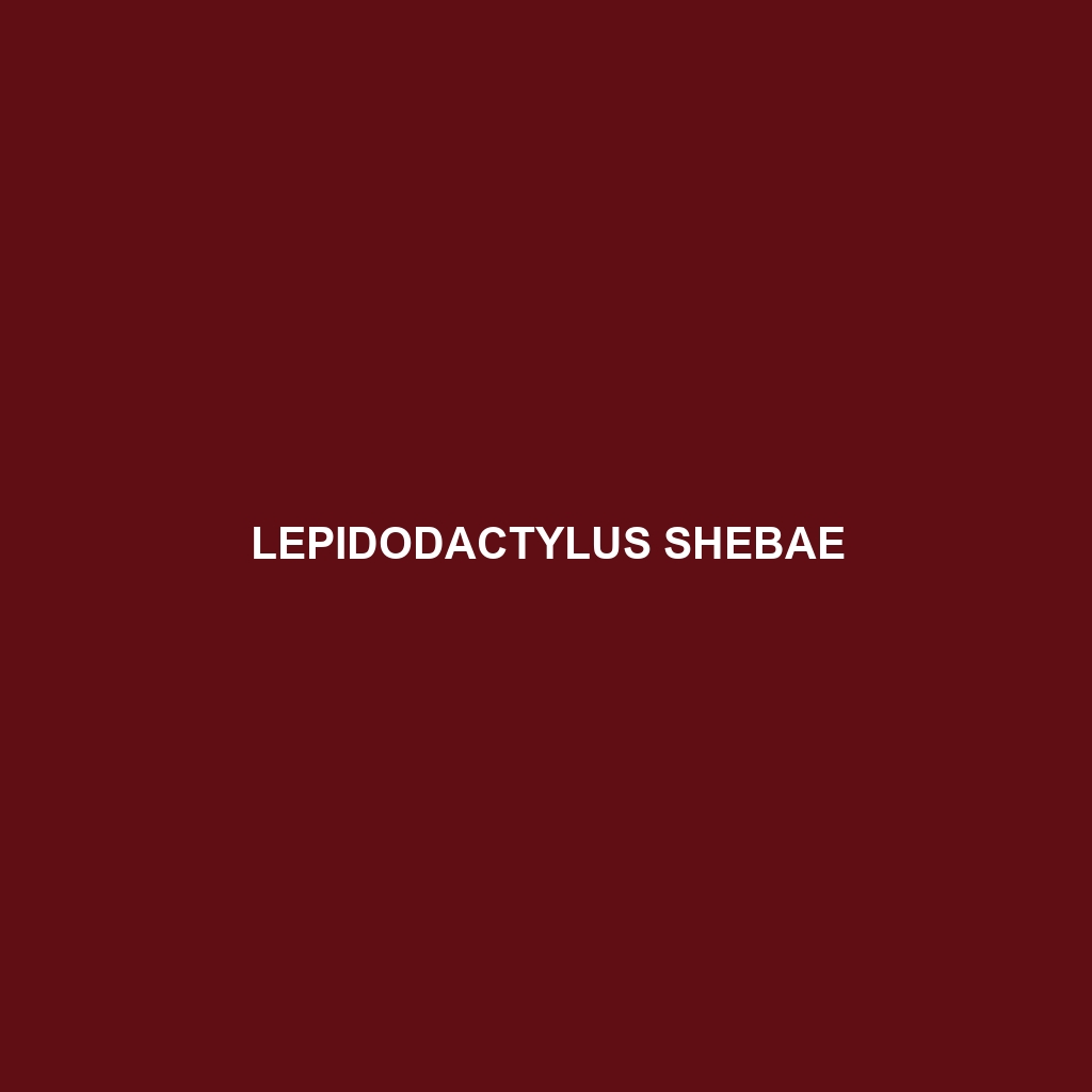 Lepidodactylus shebae