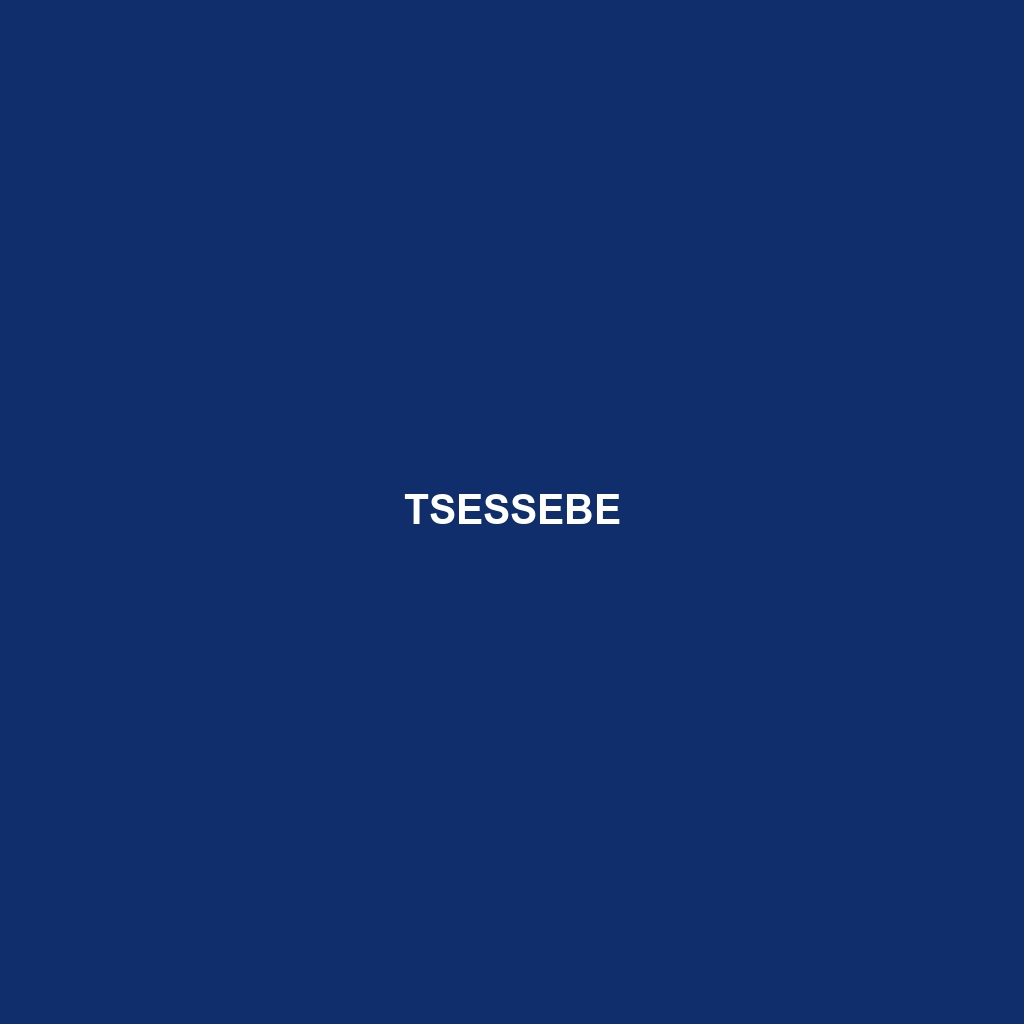 Tsessebe