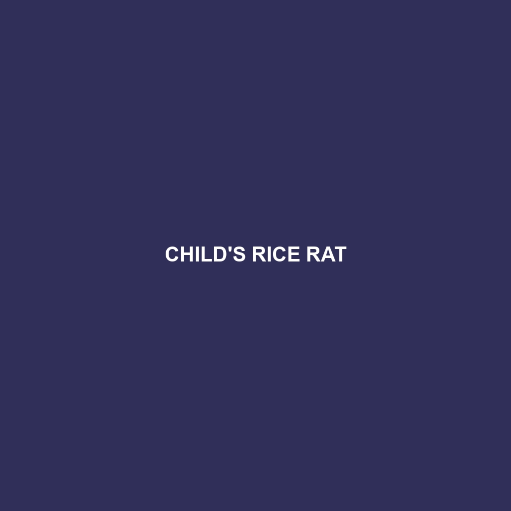 Boquete Rice Rat