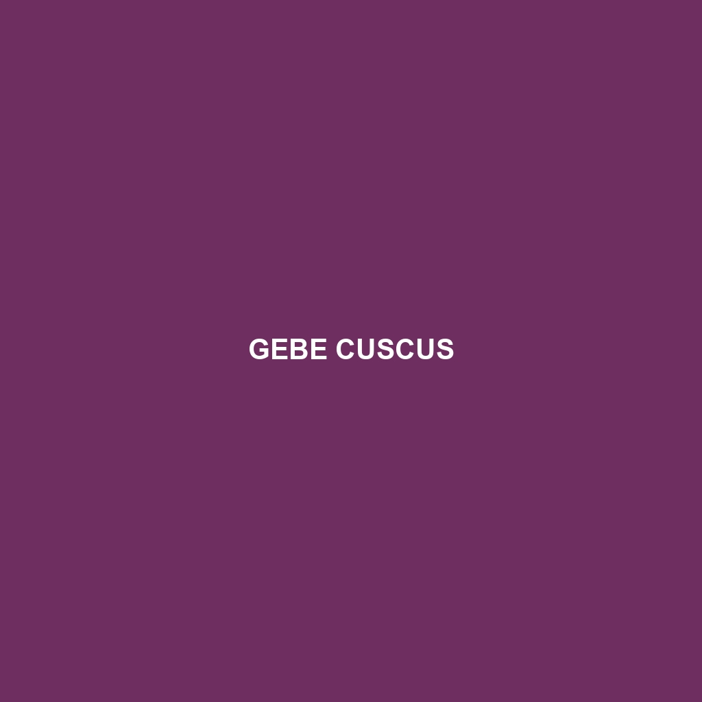 Gebe Cuscus