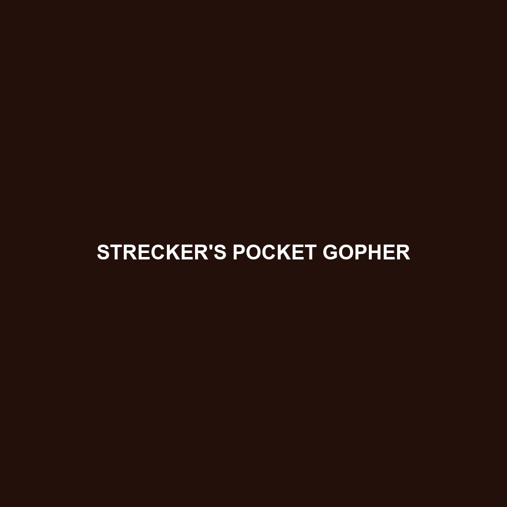 Strecker's Pocket Gopher