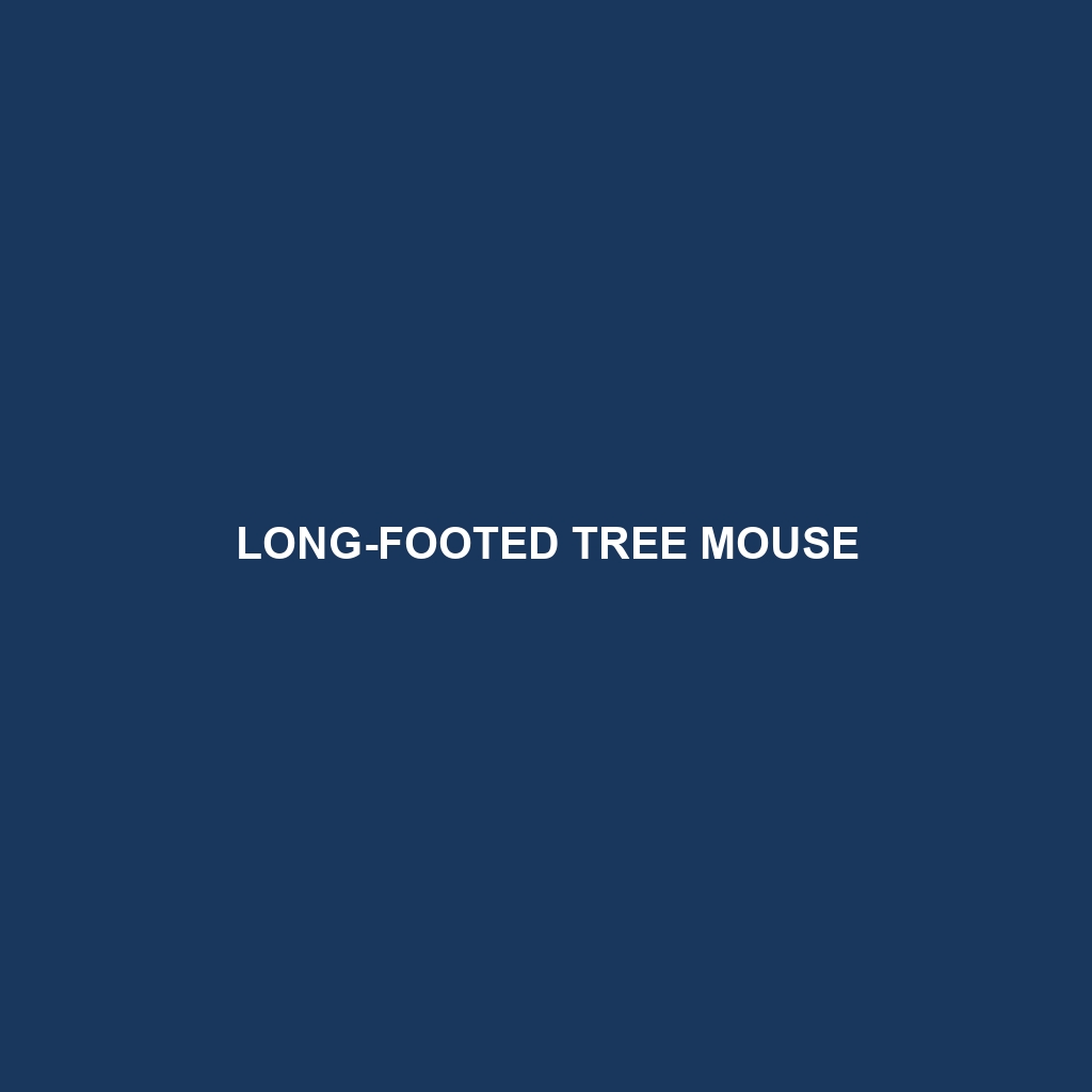 Long-footed Tree Mouse