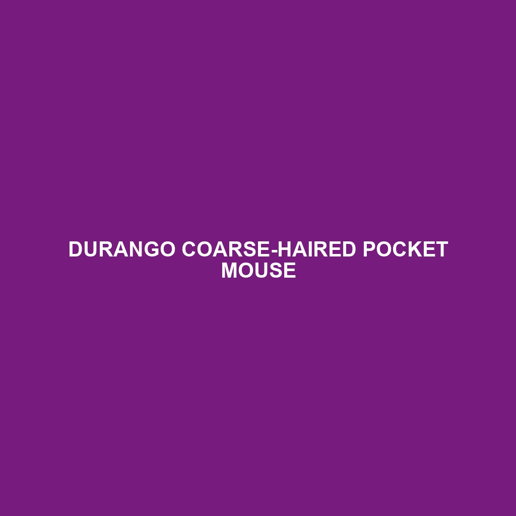 Durango Coarse-haired Pocket Mouse