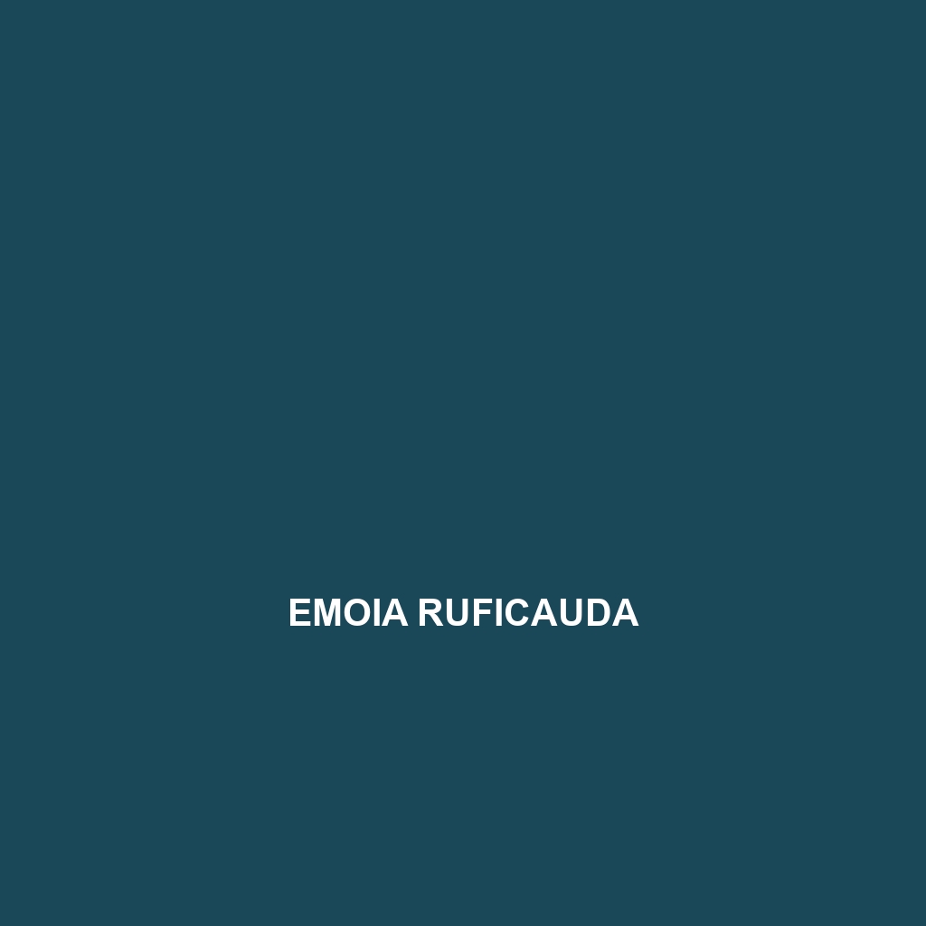 Emoia ruficauda