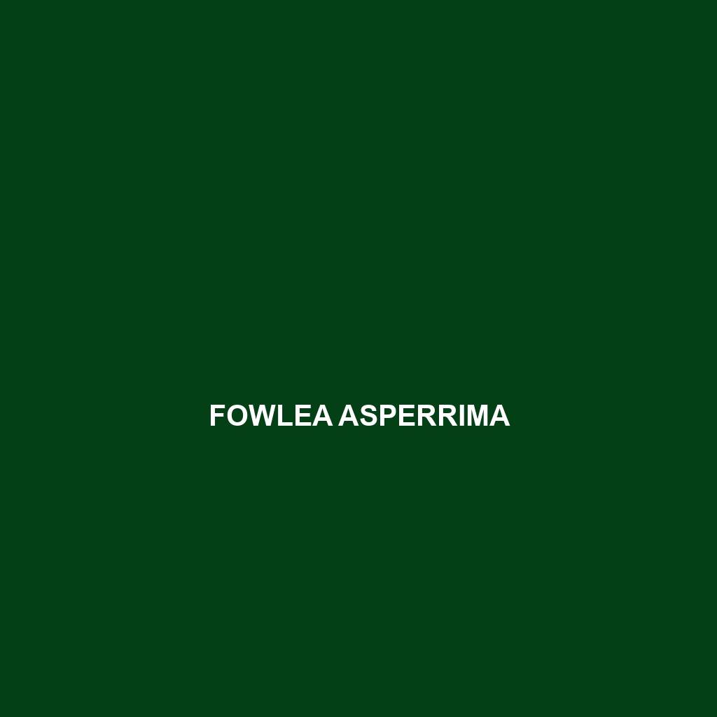 Fowlea asperrima