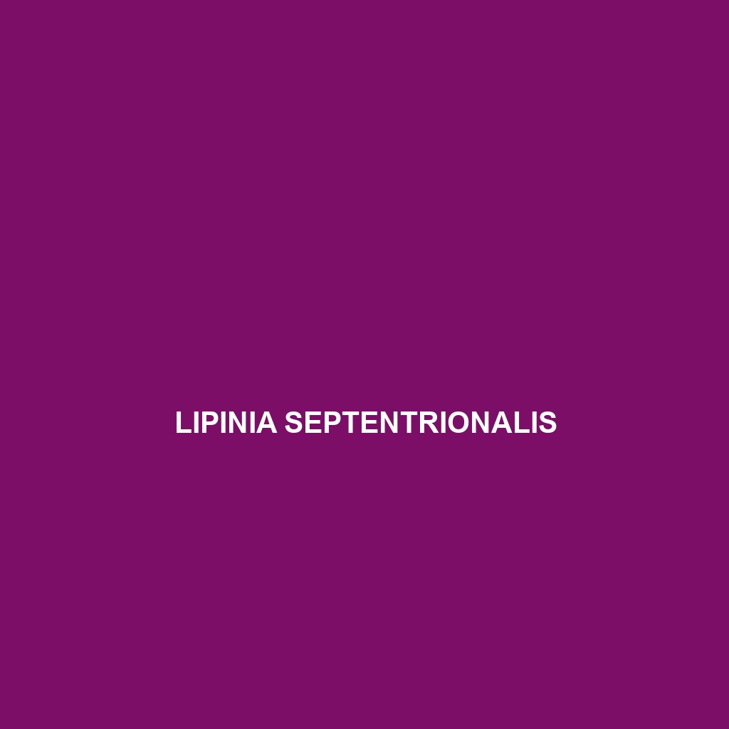 Lipinia septentrionalis