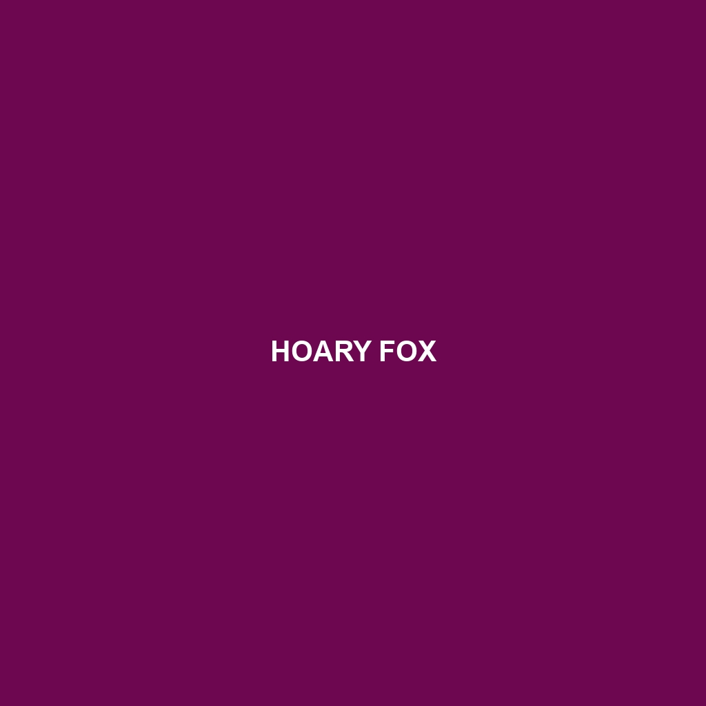 Hoary Fox