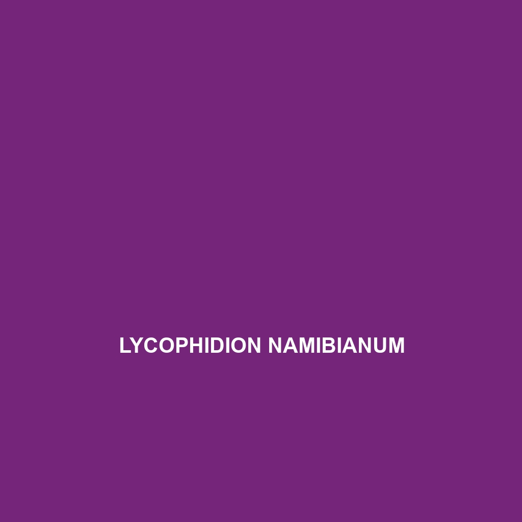 Lycophidion namibianum