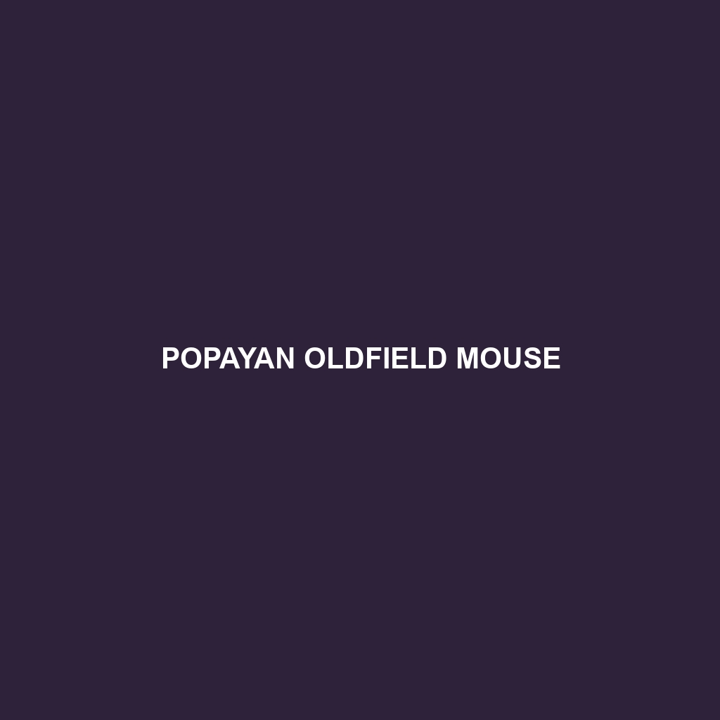 Popayan Oldfield Mouse